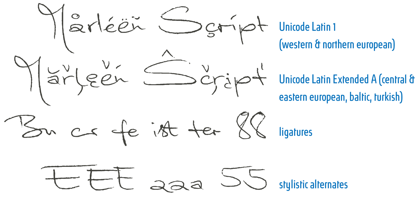 Marleen Script